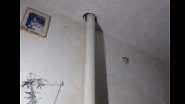 BebaFoxx online show from March 3, 8:20 am