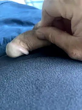 BobKat online show from October 5, 7:50 am