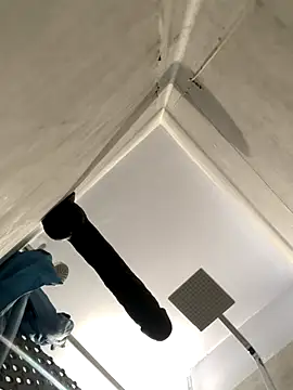 BobKat online show from November 15, 8:55 am