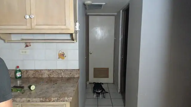 BlondZilla online show from November 17, 12:49 am