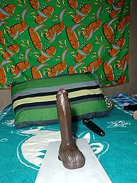 Snapshot of khetyvile chatting on November 28, 11:13 am khetyvile online show from November 28, 11:13 am