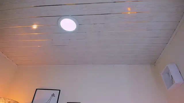 LusyKitty online show from December 2, 3:40 pm