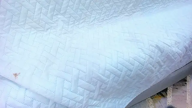 crystal sm online show from February 13, 3:13 am