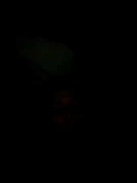 Snapshot of lis2025 chatting on March 21, 9:58 am lis2025 online show from March 21, 9:58 am