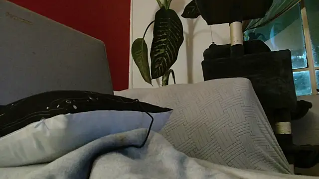 Snapshot of Tulindabonny chatting on March 6, 5:04 am Tulindabonny online show from March 6, 5:04 am