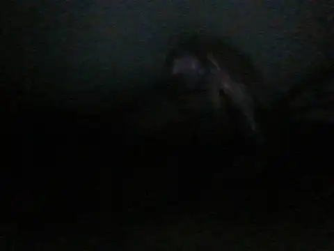 Snapshot of itachi_thebro1 chatting on June 10, 4:12 am itachi thebro1 online show from June 10, 4:12 am
