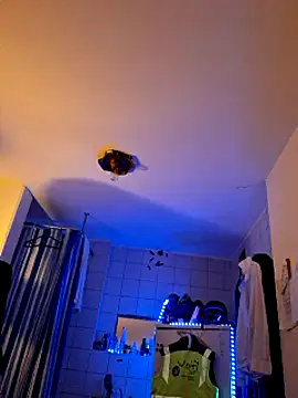 Snapshot of a7ex chatting on December 15, 2:30 am a7ex online show from December 15, 2:30 am