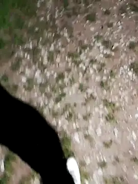 ARTANIS20 online show from October 21, 8:20 pm