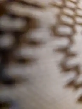 Snapshot of mojaymort chatting on November 11, 10:54 pm mojaymort online show from November 11, 10:54 pm