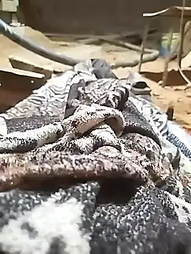 Snapshot of ParousFlow chatting on October 11, 11:03 pm ParousFlow online show from October 11, 11:03 pm