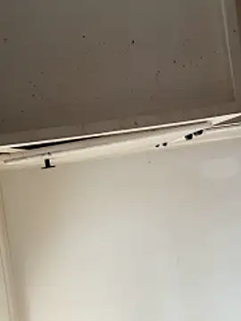 curis4270panda online show from February 15, 7:54 pm