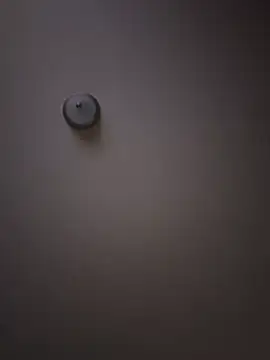 curis4270panda online show from February 16, 7:59 am