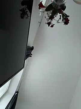 Snapshot of SexyLeon8 chatting on January 14, 3:06 pm SexyLeon8 online show from January 14, 3:06 pm