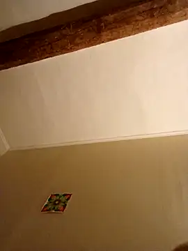 Snapshot of Titiboboo3488 chatting on November 11, 5:24 pm Titiboboo3488 online show from November 11, 5:24 pm