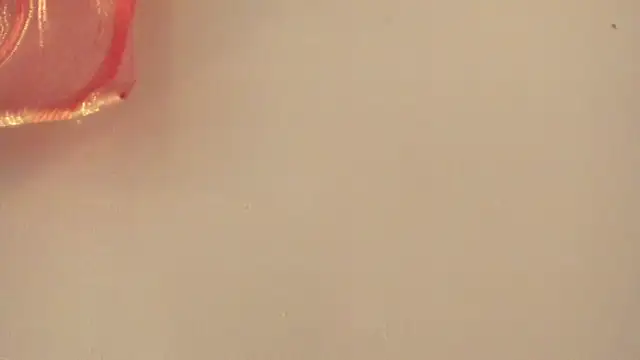 Snapshot of violet_taylor_ chatting on July 2, 2:22 am violet taylor online show from July 2, 2:22 am