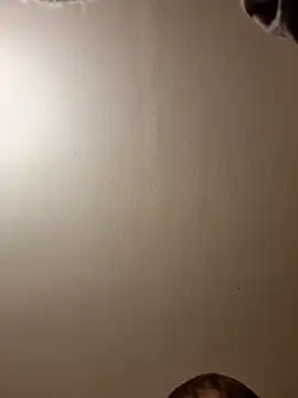 Snapshot of gazb90 chatting on November 14, 11:24 pm gazb90 online show from November 14, 11:24 pm