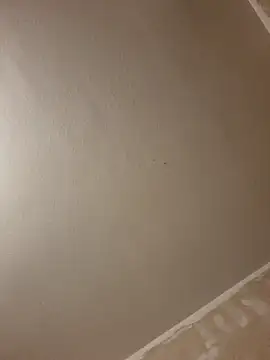 Snapshot of gazb90 chatting on January 14, 8:03 pm gazb90 online show from January 14, 8:03 pm