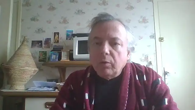 gegevincent online show from April 1, 1:52 pm