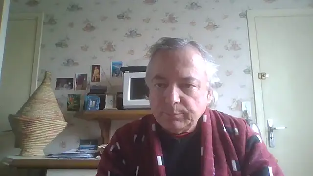gegevincent online show from April 13, 11:27 am