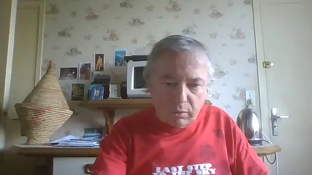 gegevincent online show from April 16, 12:17 pm