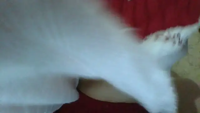 Snapshot of sweetriki chatting on July 29, 5:33 pm sweetriki online show from July 29, 5:33 pm