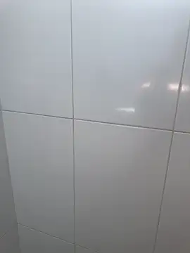 Brinquedo-da-zoe online show from March 15, 7:20 pm