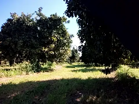 stefanoss321 online show from March 9, 9:24 am