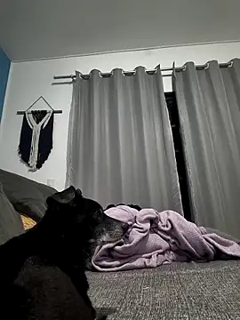 Snapshot of mikeara90 chatting on October 22, 10:31 pm mikeara90 online show from October 22, 10:31 pm