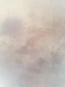 0023doja online show from October 10, 11:26 pm