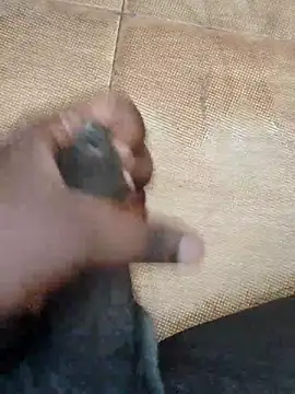 Snapshot of Saikishore00000 chatting on September 15, 8:25 am Saikishore00000 online show from September 15, 8:25 am