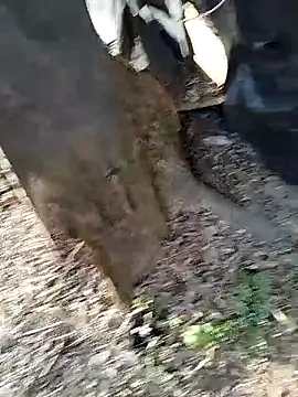 Odecca11 online show from March 24, 1:49 pm