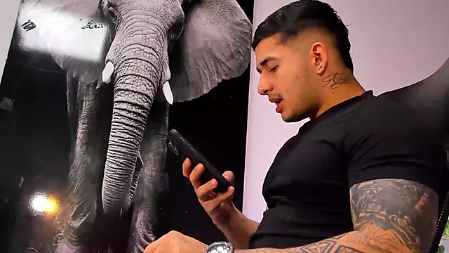 king falconer online show from October 28, 3:10 am