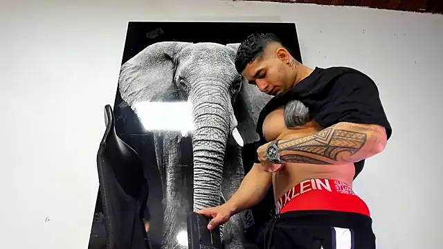 king falconer online show from October 31, 2:12 am