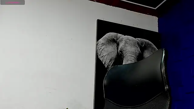 king falconer online show from November 17, 1:44 am