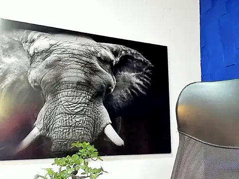 king falconer online show from December 2, 12:49 am