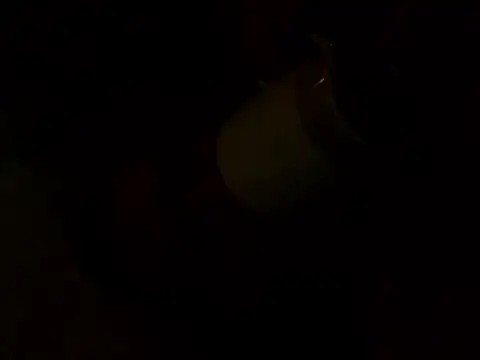 PointXXL online show from December 16, 2:33 pm