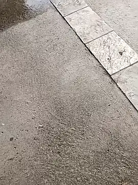 Snapshot of jvdzj-0_ chatting on October 19, 3:34 pm jvdzj-0  online show from October 19, 3:34 pm