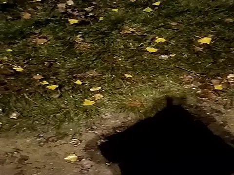 Snapshot of jvdzj-0_ chatting on October 29, 10:44 pm jvdzj-0  online show from October 29, 10:44 pm