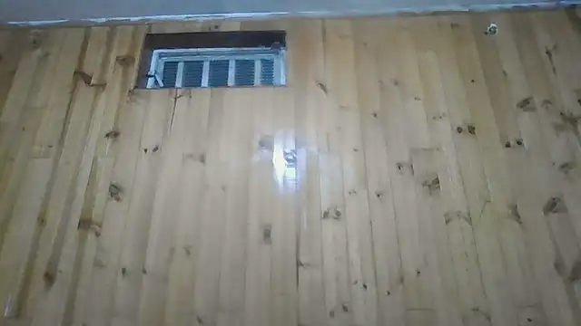 Snapshot of Roselingalvis13 chatting on October 30, 3:19 am Roselingalvis13 online show from October 30, 3:19 am