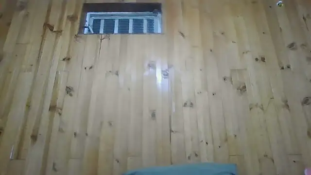 Snapshot of Roselingalvis13 chatting on December 3, 3:03 am Roselingalvis13 online show from December 3, 3:03 am