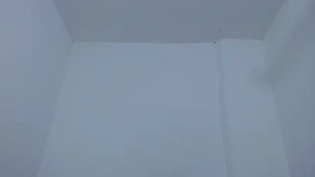 carolina zabala 19 online show from December 17, 7:20 pm