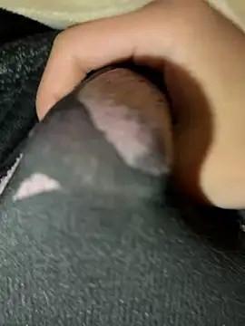 rrrrrriyyffhyeeee online show from February 16, 12:29 am