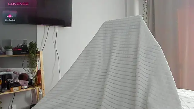 wwow meow online show from February 13, 6:42 am