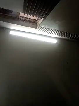 Teffy chell online show from March 15, 1:39 pm