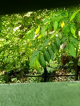 Snapshot of Exoticovergon chatting on March 12, 12:55 pm Exoticovergon online show from March 12, 12:55 pm