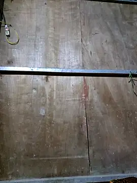 yoowwmr online show from October 23, 12:48 pm