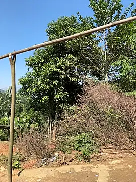 ThiHa003 online show from November 27, 3:52 am