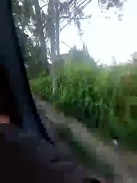 jeff pepoer online show from February 7, 10:52 am