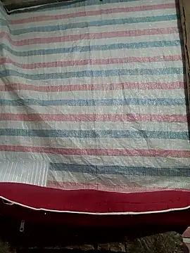 Many lize online show from November 9, 11:03 pm