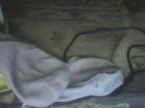 Bebita-zmp online show from July 11, 4:32 pm